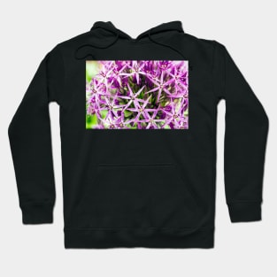 Star of Persia flower Hoodie